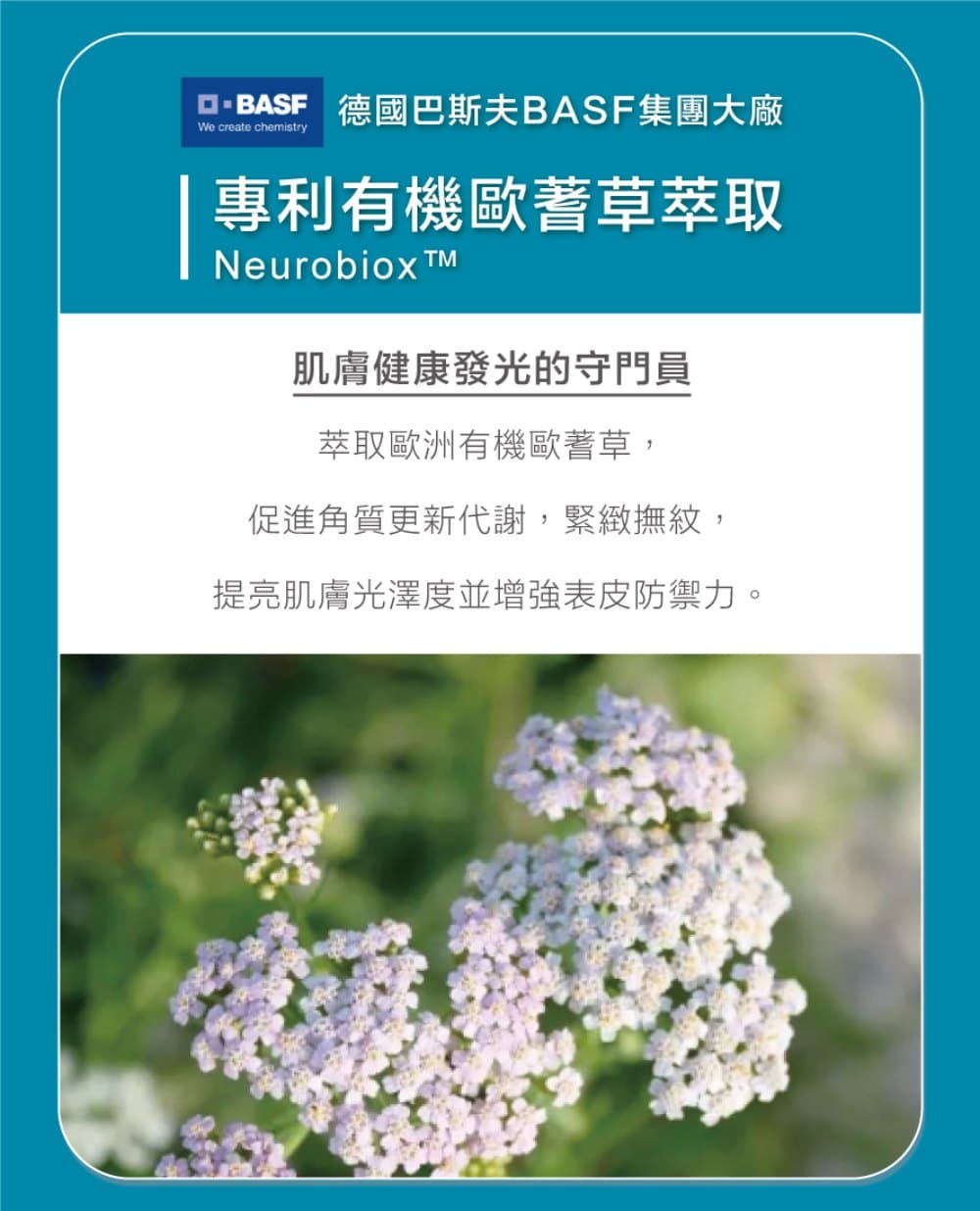 珂芮爾 神經醯胺防護保濕乳