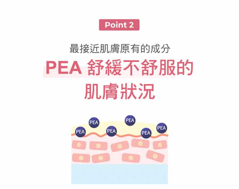 Physiogel潔美淨 安撫修護AI泡泡潔膚露